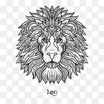 狮子座的线性手绘