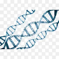 藏青色dna遗传物质基因肽链脱