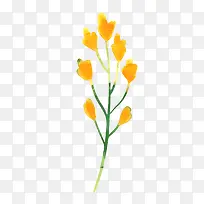 小清新水彩绘黄色花朵