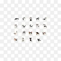 卡通可爱小黑猫咪