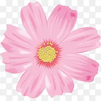一朵盛开的粉色花朵图