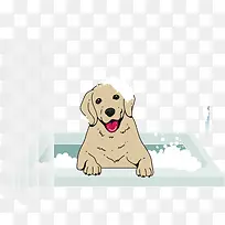 矢量图小狗洗澡