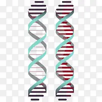 双螺旋矢量卡通风格DNA
