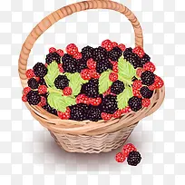 装满黑莓红莓的篮子