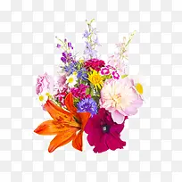 彩色缤纷花朵装饰背景