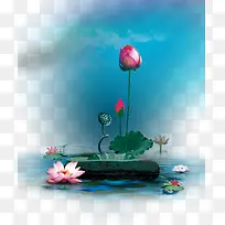 3D荷花