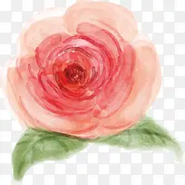 手绘水彩玫瑰花