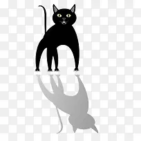 小黑猫的注视