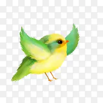 黄绿色的小鸟