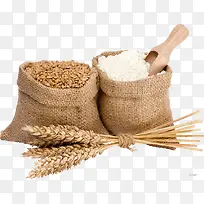 稻谷，谷穗png，免扣素材，麦粒