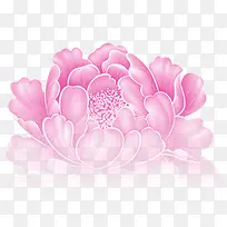 粉色清新牡丹花装饰图案