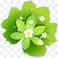 绿色植物与白色小花