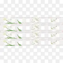 小白花和绿叶组合条纹