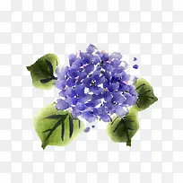 一簇紫色的花