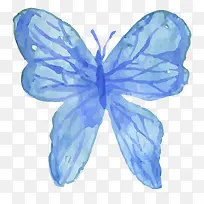 蓝色的手绘彩绘水彩蝴蝶