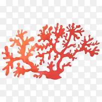 美丽的红色珊瑚礁