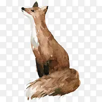 可爱的狐狸动物手绘