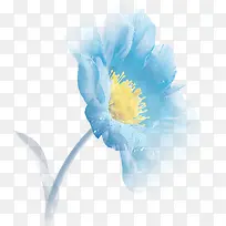 蓝色唯美装饰花卉设计图