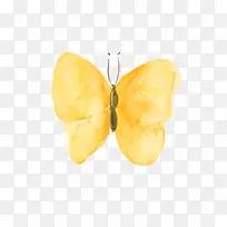 黄色水墨蝴蝶