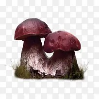 蘑菇森林装饰图案