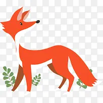 森林里橘色的狐狸
