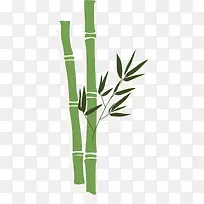 清新绿色春季竹子