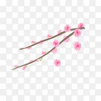 粉色春季美丽花枝