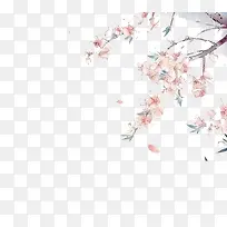树梢飘落的梅花