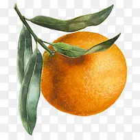 卡通手绘水果装饰海报设计橙子
