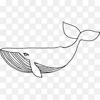 海洋生物手绘鲸鱼