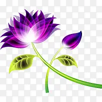 紫色浪漫梦幻花卉