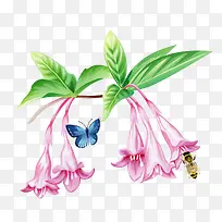 蝴蝶蜜蜂花朵