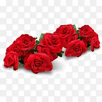 红色浪漫玫瑰花花朵