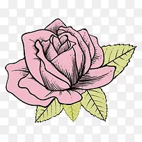 可爱的粉色玫瑰设计素材