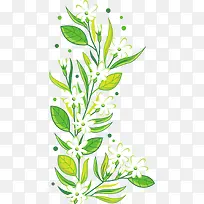 矢量图绿色叶子和白色花朵