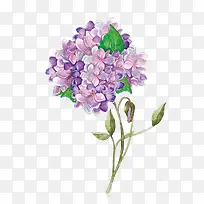 水彩浪漫超唯美圆形紫色花朵