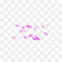 紫色浪漫花瓣漂浮