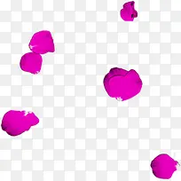 紫色浪漫花瓣玫瑰情人节