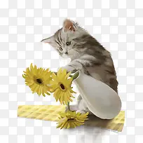 免抠卡通手绘猫咪菊花装饰