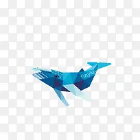 蓝色鲸鱼