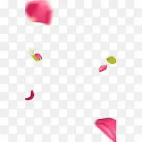 粉色花瓣绿色叶子飞舞漂浮素材