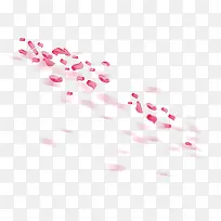 漂浮的花瓣