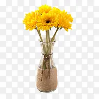 黄色花朵的植物装饰