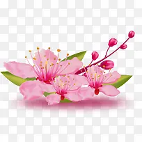 彩绘装饰春天桃花花朵素材