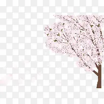 粉色美丽春季花树