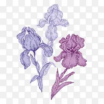 紫色手绘线条花卉