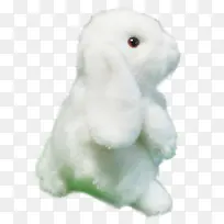 白色仿真垂耳兔玩偶