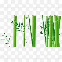 嫩绿色竹子生机竹林
