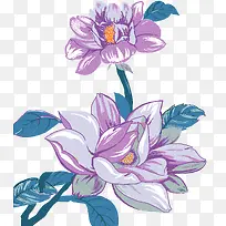 紫色手绘鲜花素材