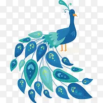 蓝绿色羽毛美丽孔雀